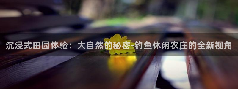 九游会无法登录游戏吗：沉浸式田园体验：大自然的秘密-钓鱼休闲
