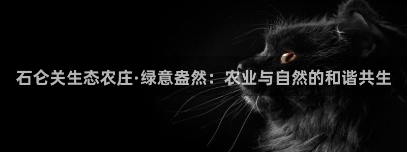 九游最佳球会