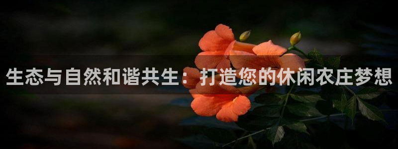 九游会私享