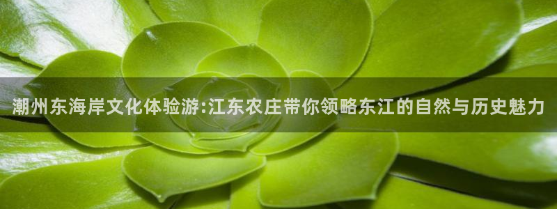 j9九游会数字