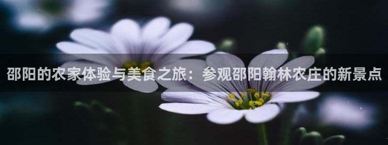 做九游返利会封号嘛