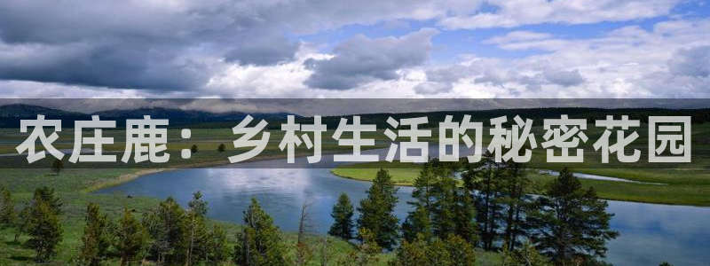 j9数字货币九游会