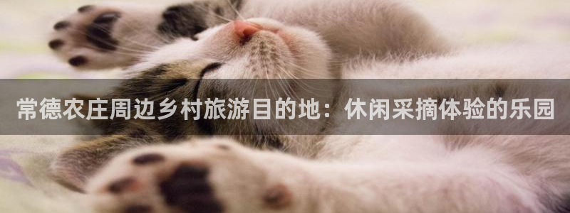 九游会非同凡响