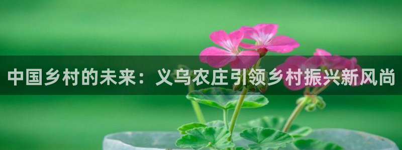 j9九游会老哥