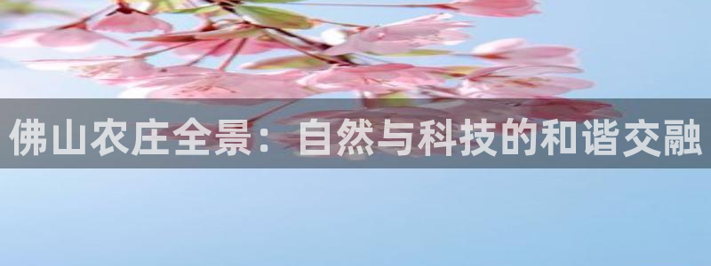 九游会国际站