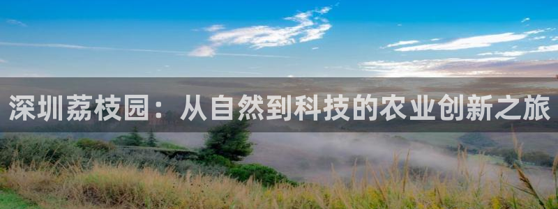 九游会手机