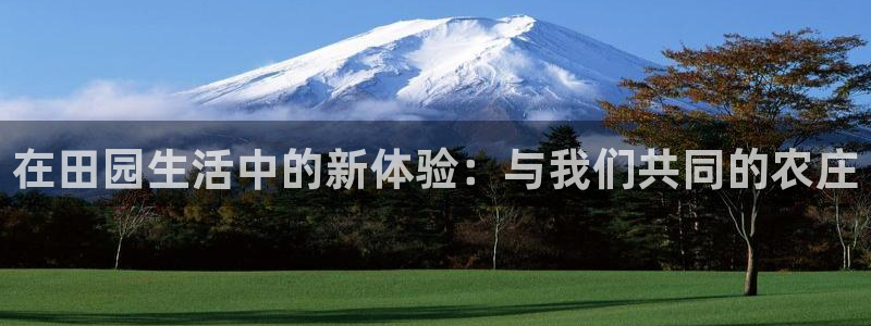 灯游会九门