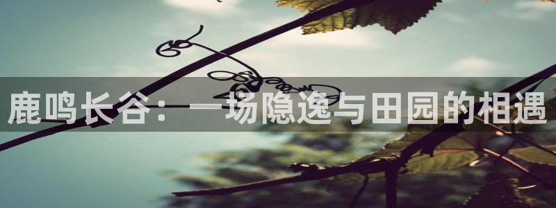 九游会和九游国际区别