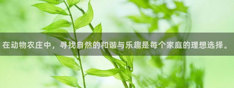 九游会国际直营