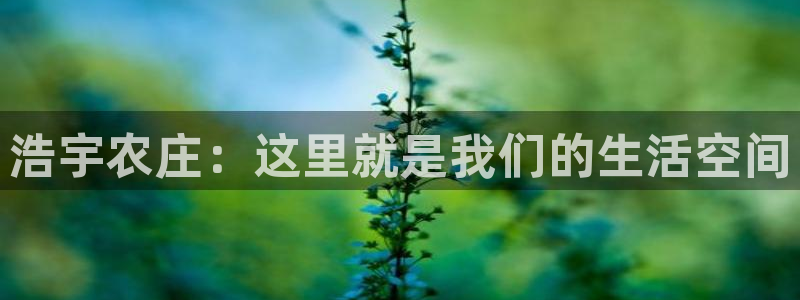 搜索 九游会