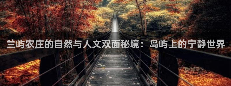 九游会盗号