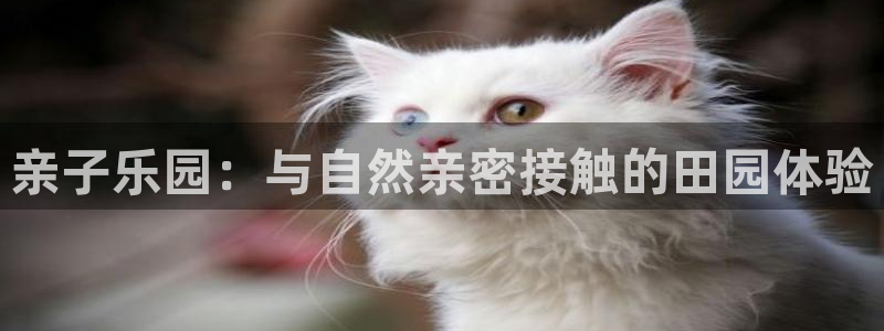 九游会j9娱乐官网