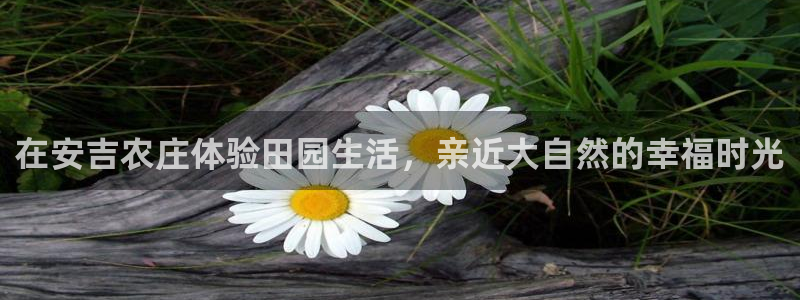 九游会ag网址大全
