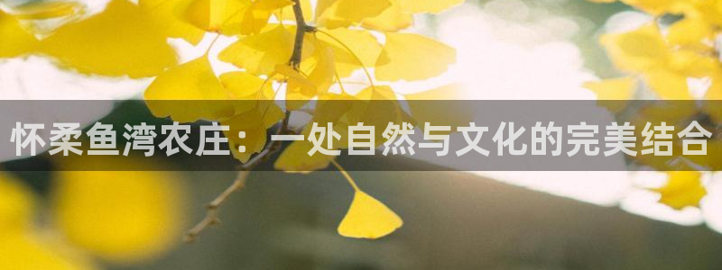 九游会怎样