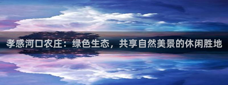 九游会直营
