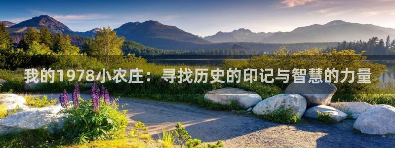 九游会网页版
