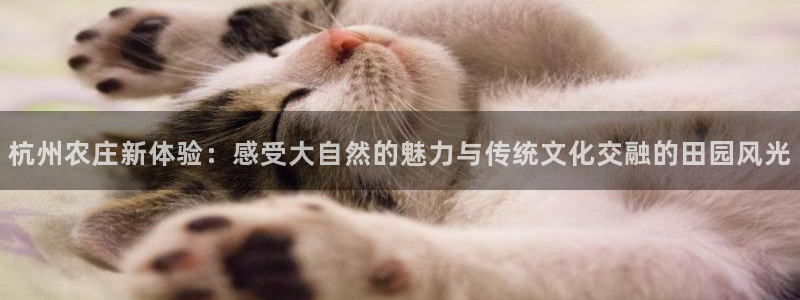 九游会直营