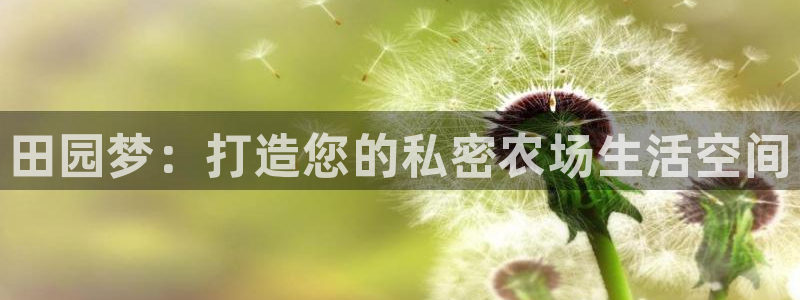 九游会平台洗钱