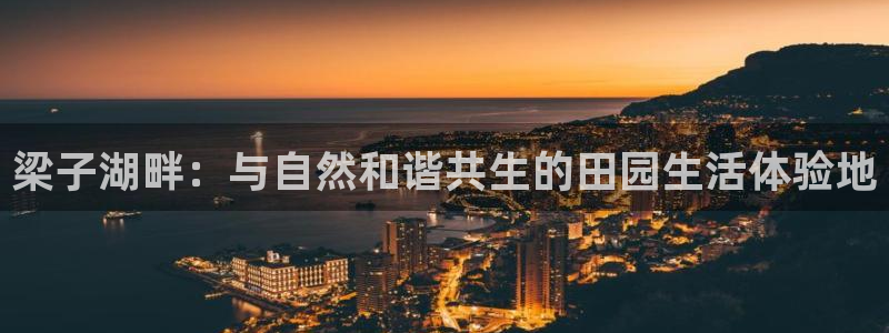 九游会赌场在哪