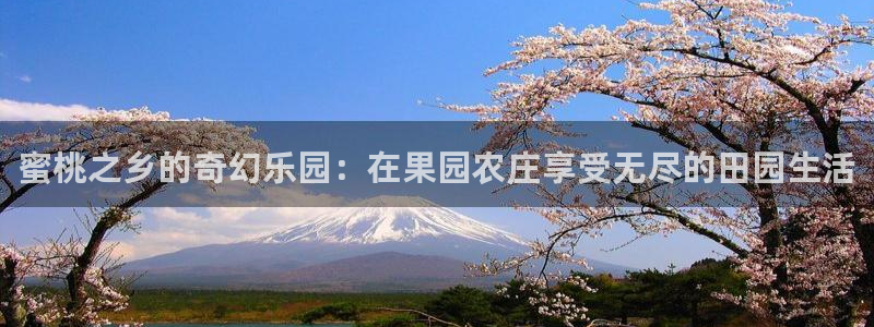 九游会总部