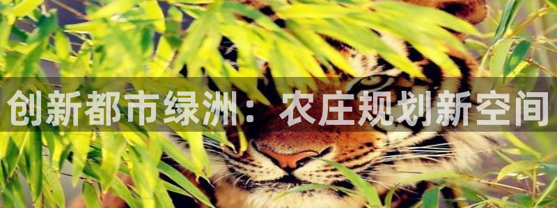 九游会与俄罗斯专享会