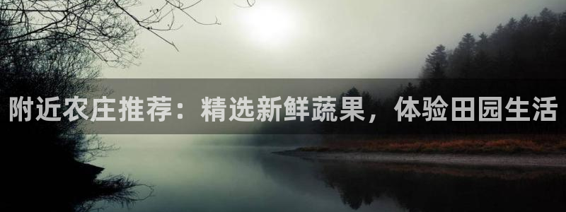 九游会老站
