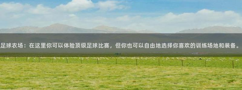 哪个才是九游会