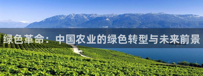 九游会亚洲国际游戏官网