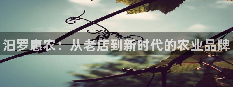 九游会dg