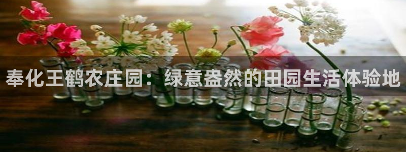 九游游戏会