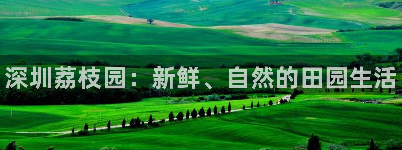 9游九游会