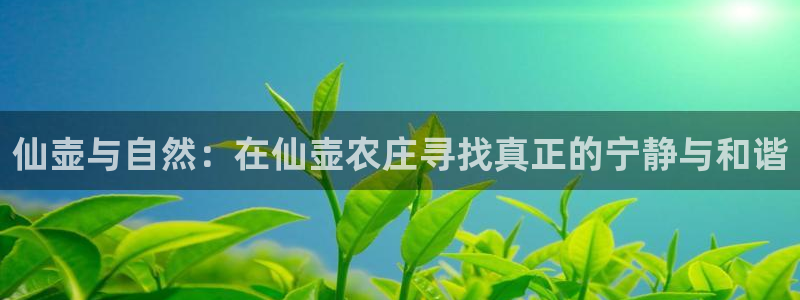 九游会担保