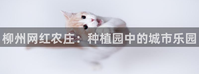 河曲灯游会九门的寓意