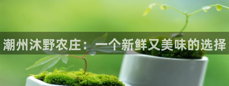 九游会最新下载安装