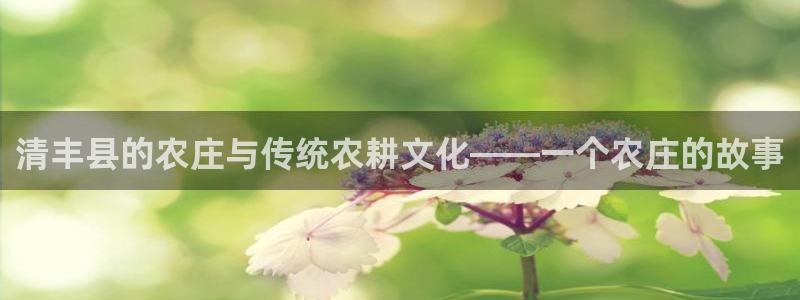 九游老哥会
