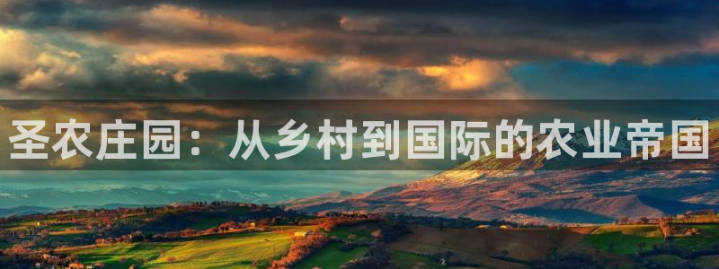 九游会ag入口