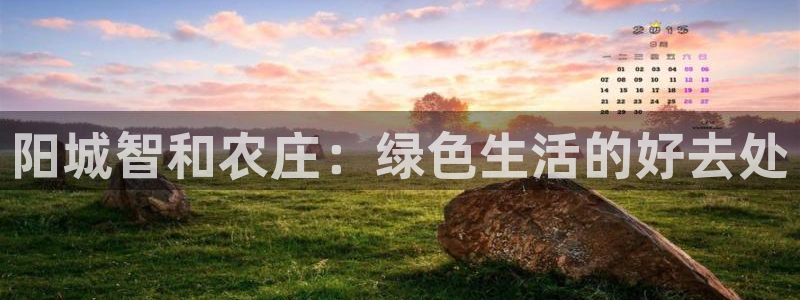 亚游九游会登陆