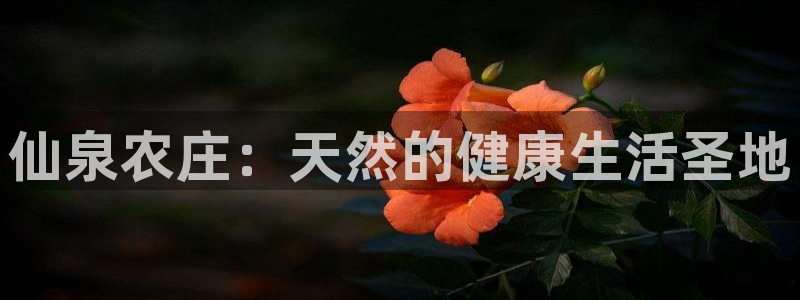 九游超玩会