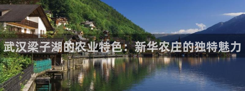 九游会倒闭