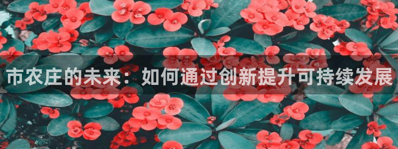 j9九游会国际