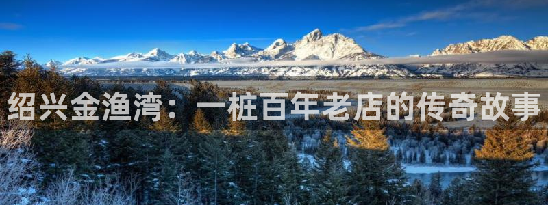 九游会官网网站是什么