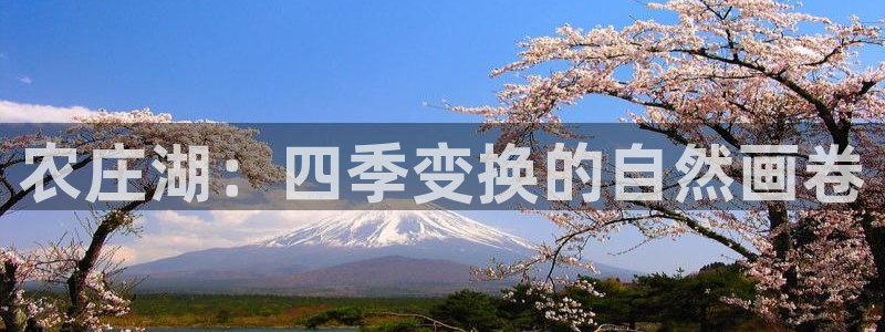 九游会亚洲游戏