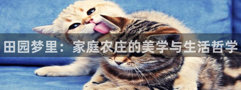 ja九游会