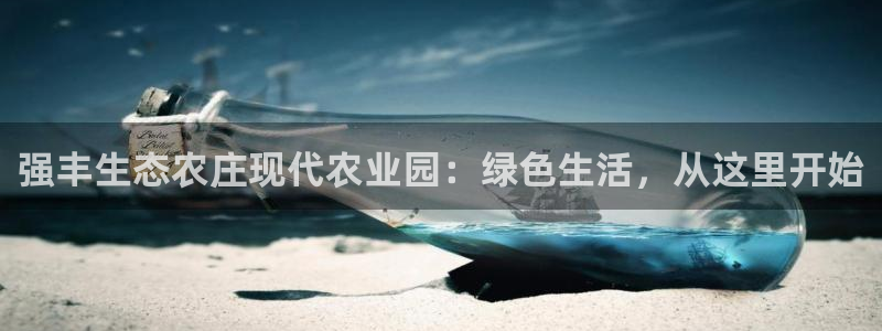 玩九游会