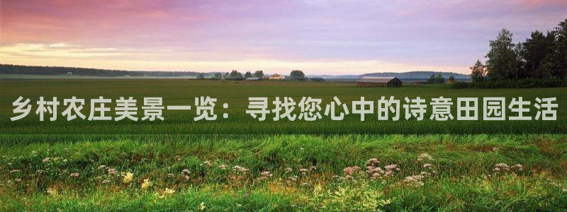 J9九游会真人游戏第一品牌