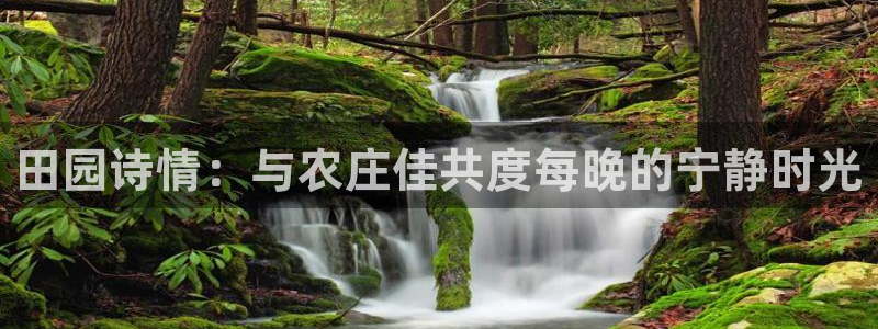 九游会国际物流