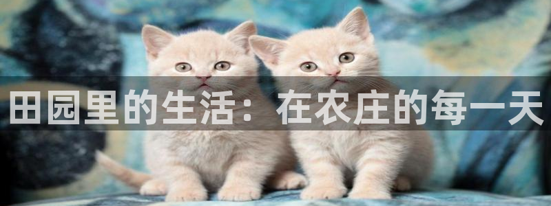 灯游会九门