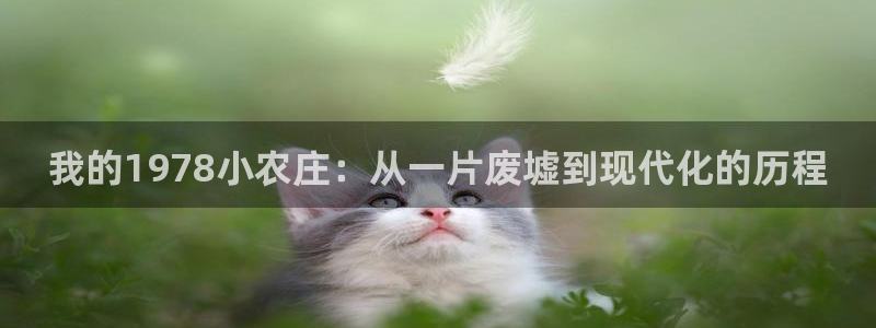 九游会vip