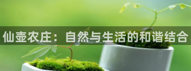 ag九游会官网VIP