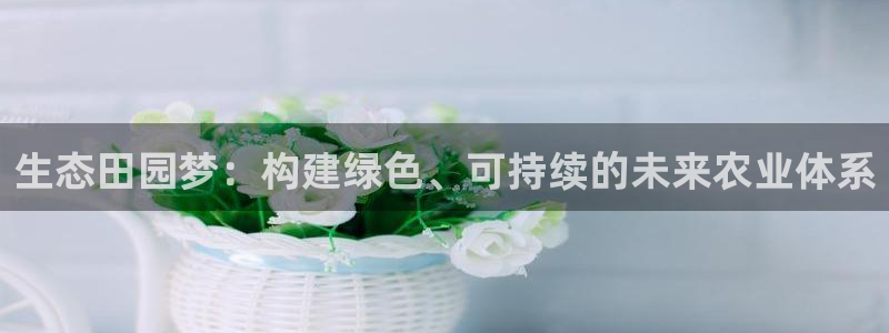 j9九游会网赌
